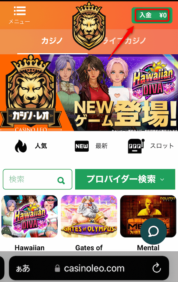 カジノレオ 入金画面へ