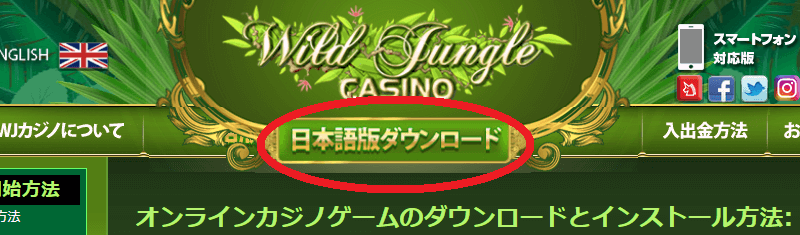 ワイルドジャングルカジノ(Wild Jungle Casino)登録方法